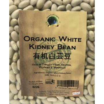 Organic White Kidney Bean, 500g